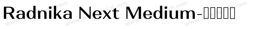 Radnika Next Medium字体转换